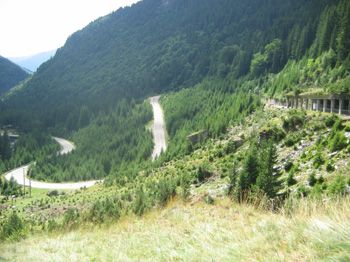 128 SERPENTYNY TRANSFOGARASKIE